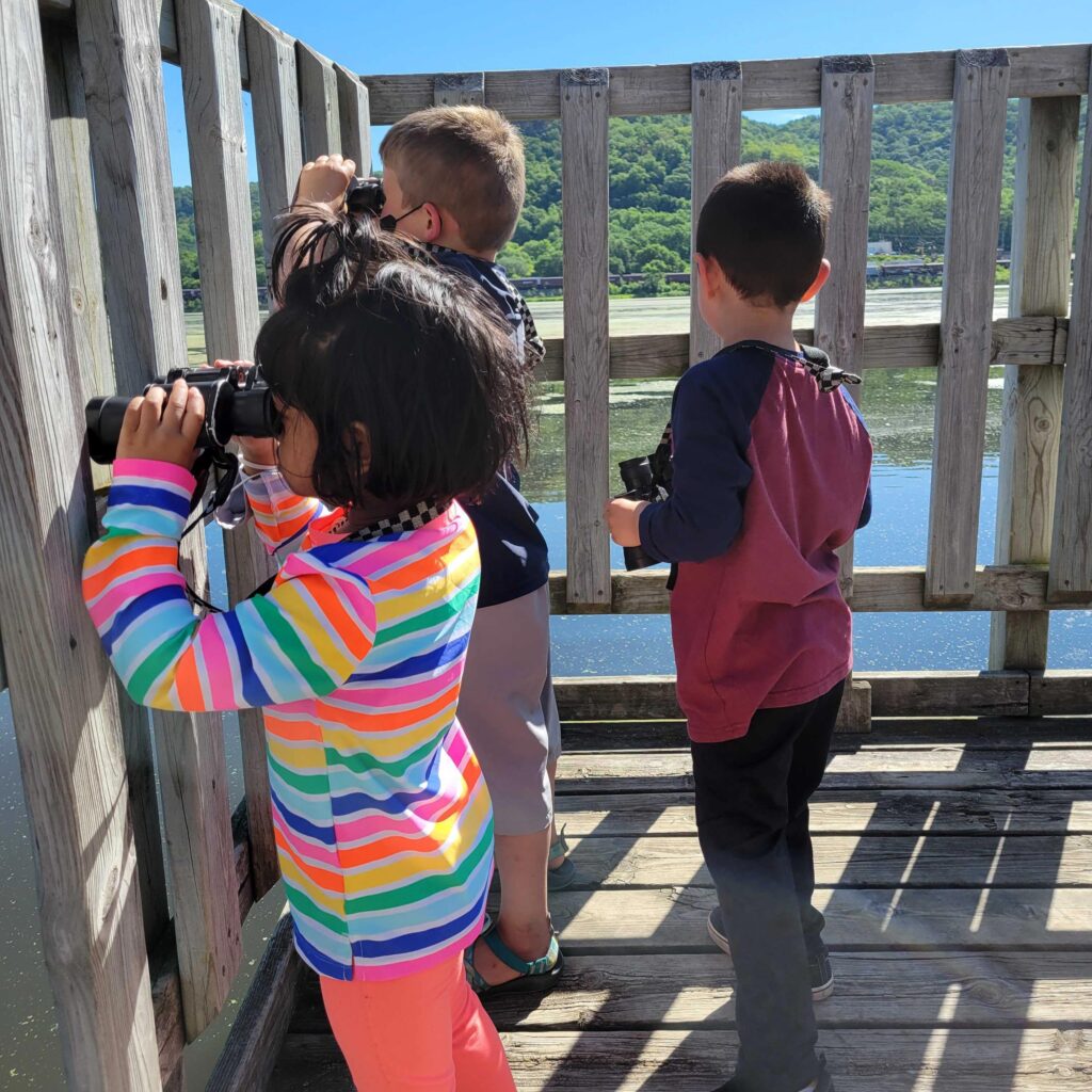 kids looking through binoculars over marsh