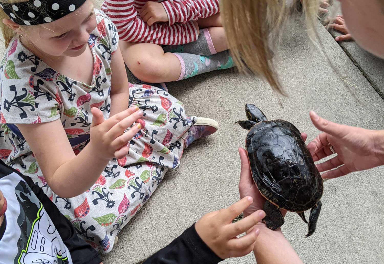 kids looking at turtle held by nature center instructor