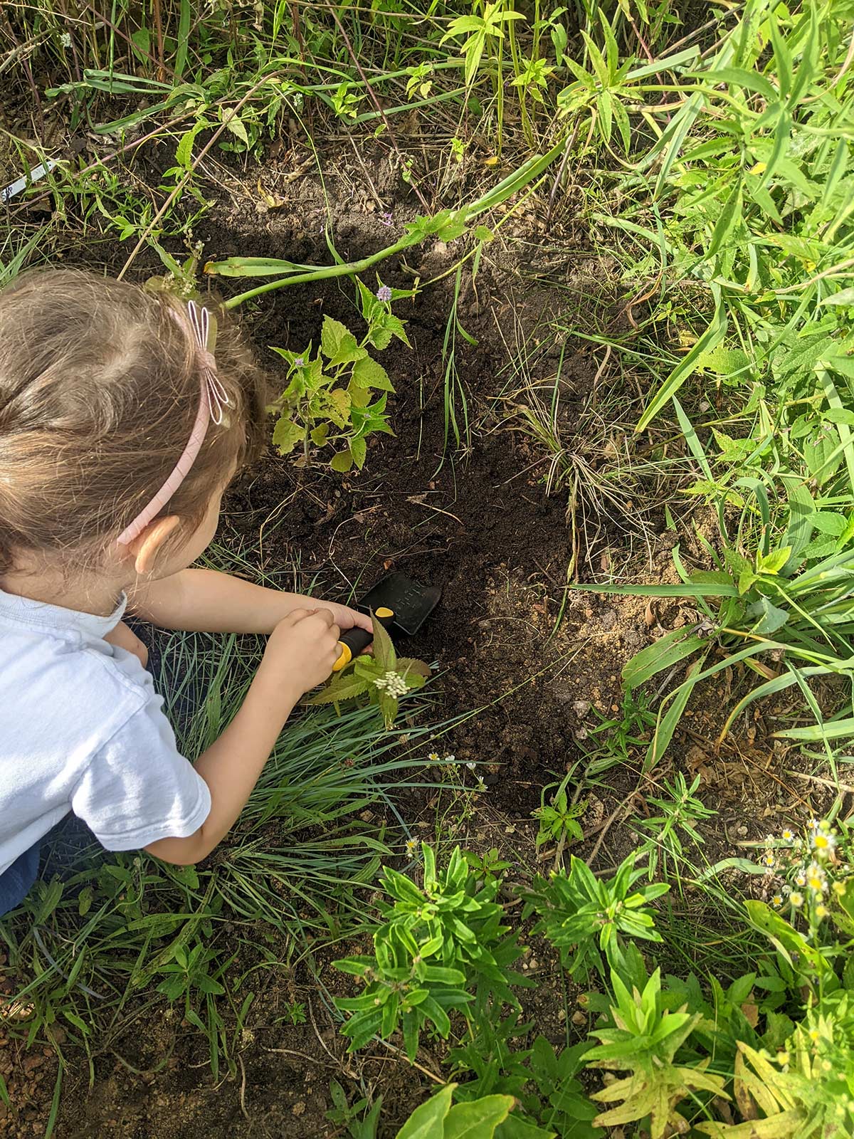 young camper girl planting in the garden