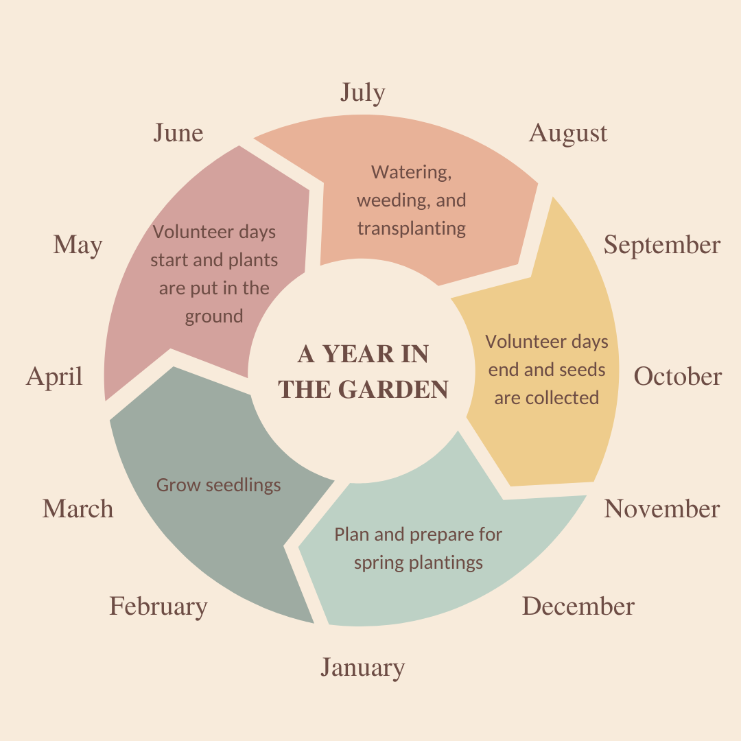 A wheel with 5 stages describing A Year in the Garden