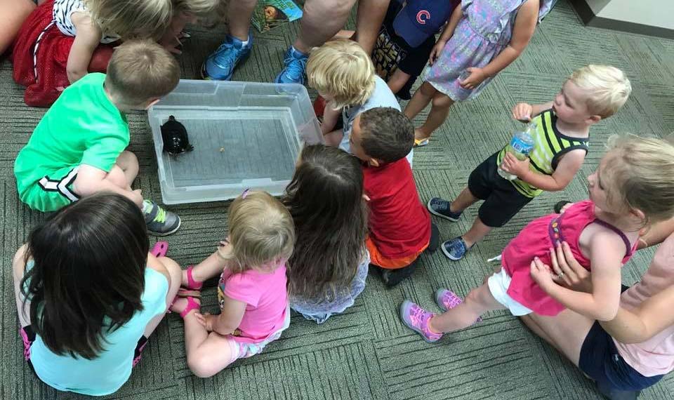 kids gathered around a turtle