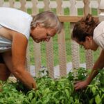 ladies working in demonstration garden at the nature place