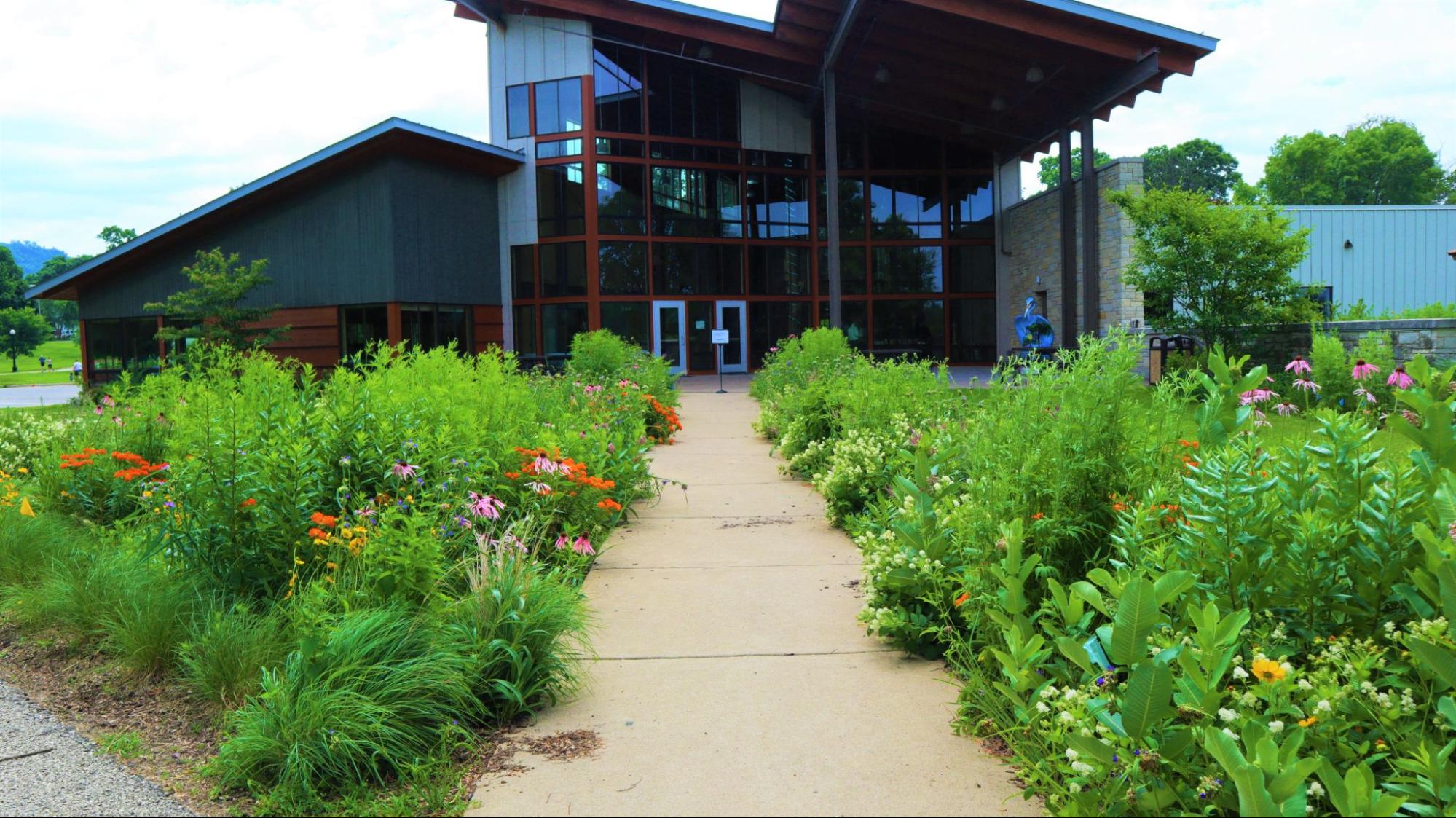 plants near entrance to nature center