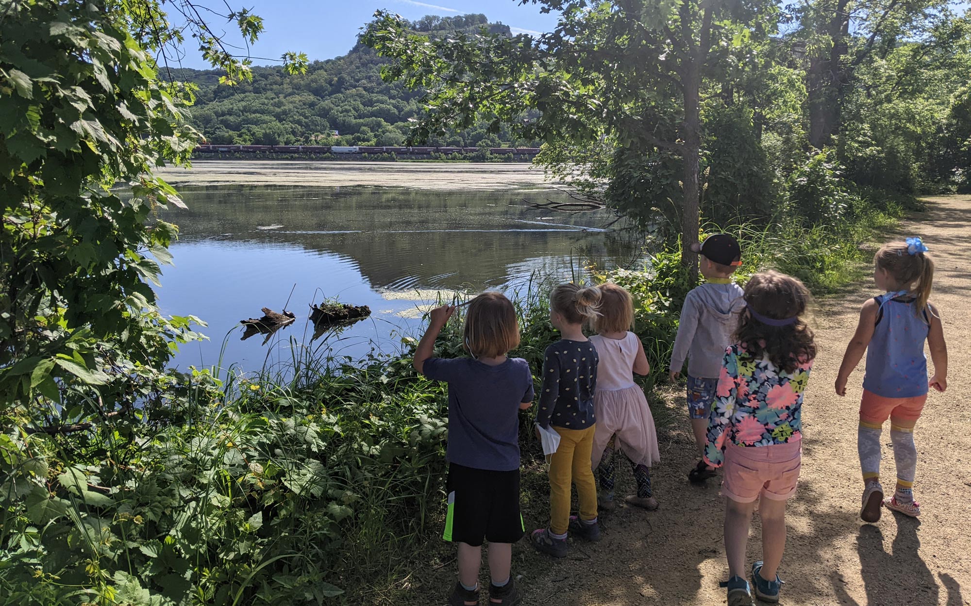 kids looking over marsh from shorline