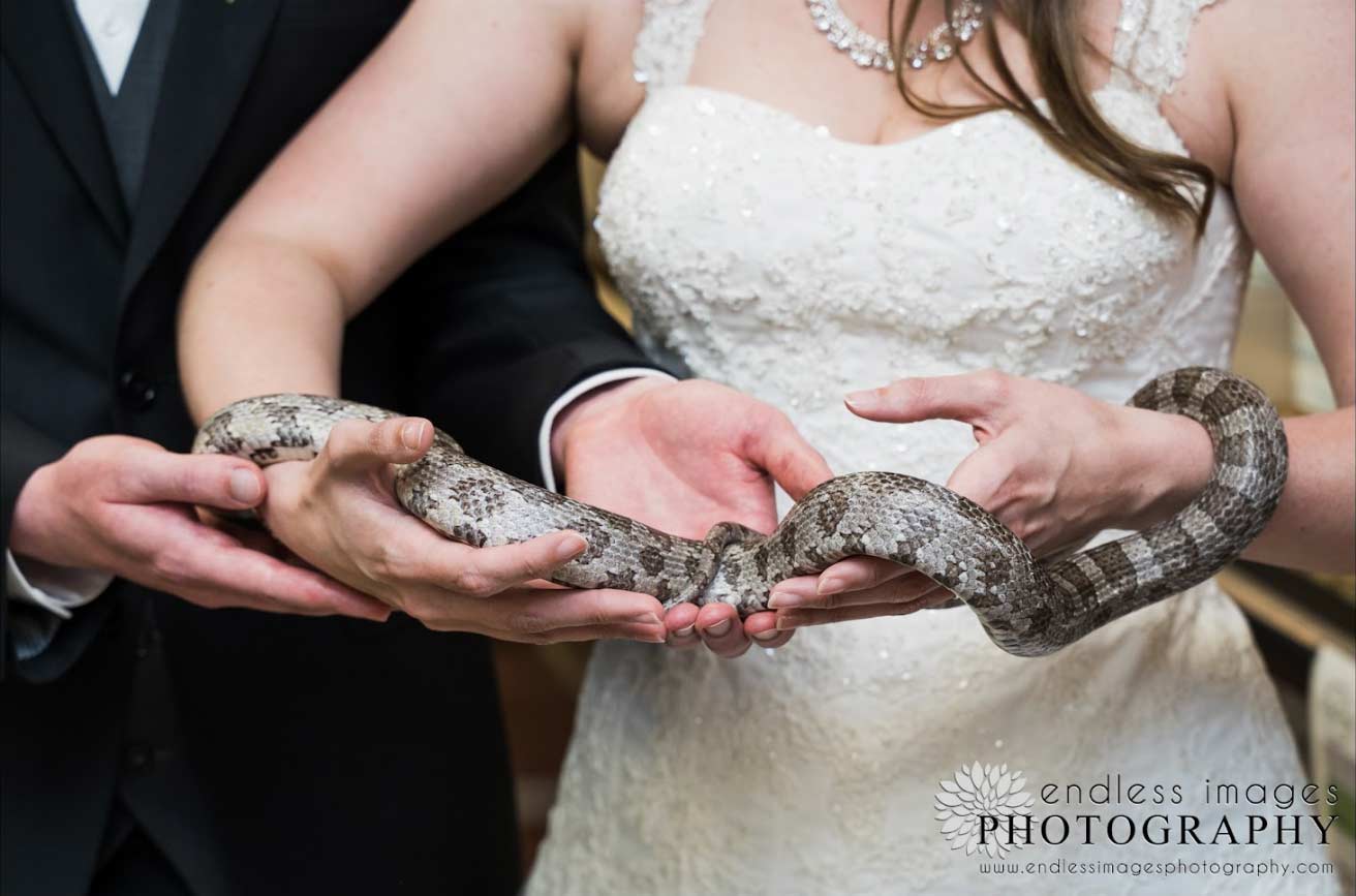 bride and groom holding a snake