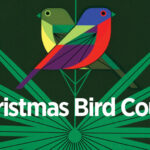 Audubon Christmas Bird Count