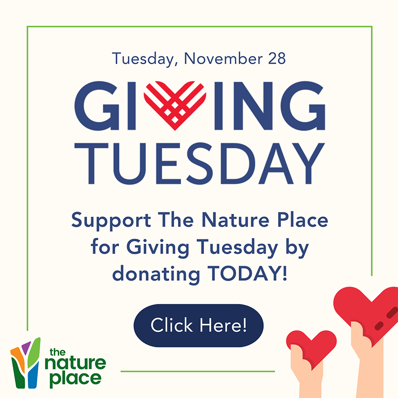 Giving Tuesday - Support The Nature Place - Click Here!
