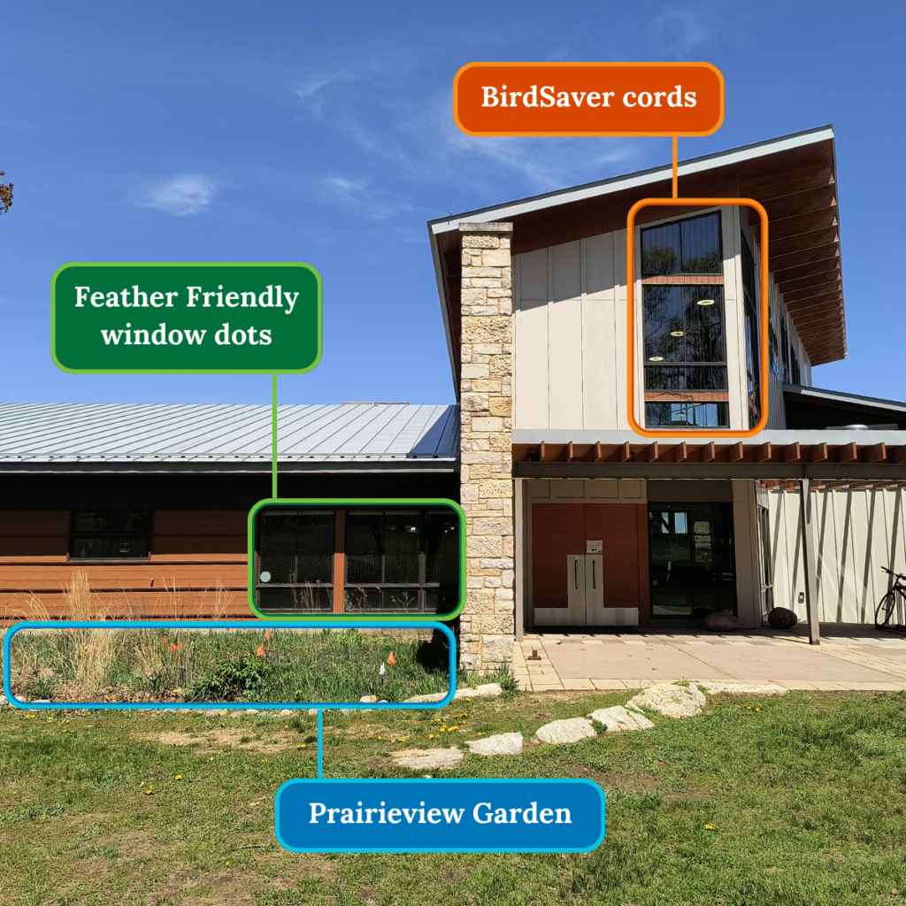 Photo of the front entrance of The Nature Place showing one of our native gardens, Feather Friendly window dots, and BirdSaver cords.