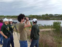 La Crosse River Marsh Birding Walk