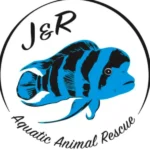 J and R Aquatic Exotic Animal Surrender Event