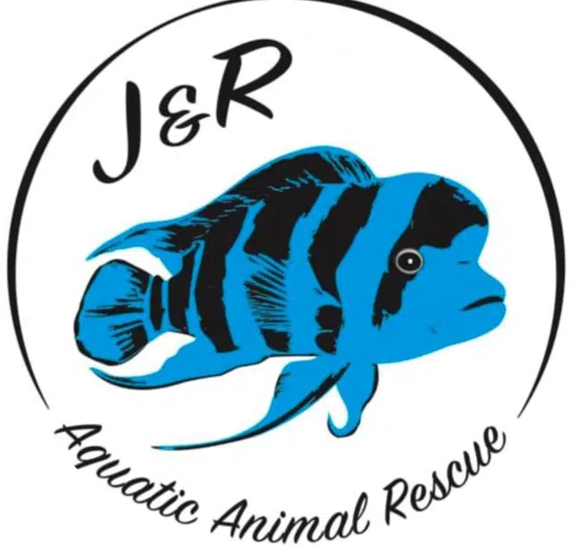 J and R Aquatic Exotic Animal Surrender Event