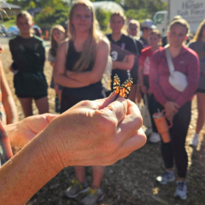 Critter Cindy tagging a Monarch Butterfly