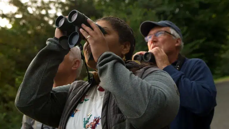 Family Fun with The Great Backyard Bird Count