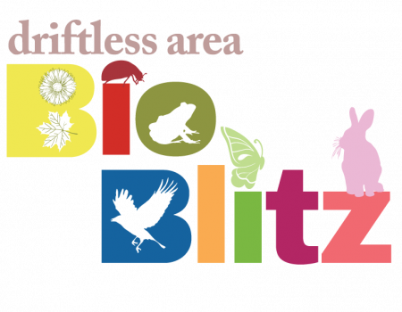 Driftless Area BioBlitz