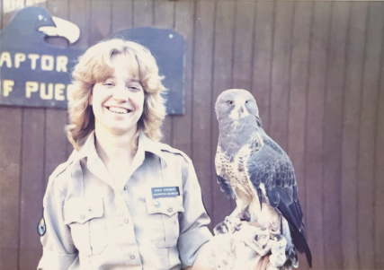A woman holding a Swainson's hawk.