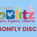 Driftless Area BioBlitz - Dragonfly Discovery FREE Family Program