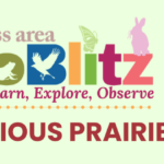 Driftless Area BioBlitz - Precious Prairies FREE Family Program