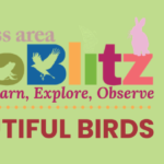 Driftless Area BioBlitz -  Beautiful Birds FREE Family Program