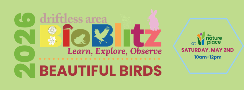 Driftless Area BioBlitz -  Beautiful Birds FREE Family Program