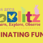 Driftless Area BioBlitz - Fascinating Fungi FREE Family Program