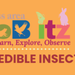Driftless Area BioBlitz - Incredible Insects FREE Family Program