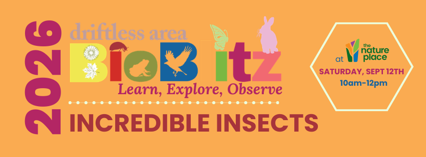 Driftless Area BioBlitz - Incredible Insects FREE Family Program