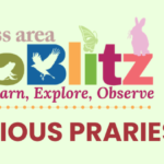 Driftless Area BioBlitz - Precious Prairies FREE Family Program