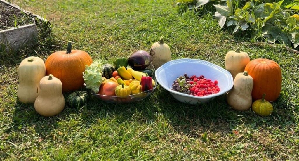 A line of colorful fruits and vegetables on the grass, including raspberries, grapes, pumpkins, peppers, and squash.