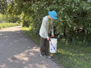 Man in a blue hat picking up trash and putting it in a white bucket.