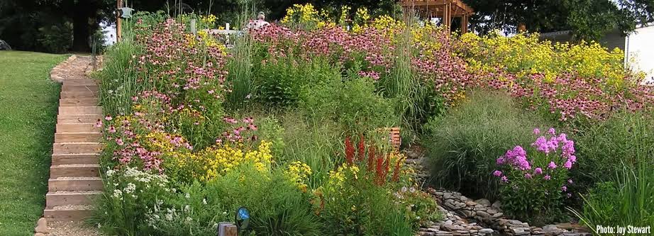 FREE! Badger Talk with Susan Carpenter, Native Plant Curator at UW-Madison Arboretum